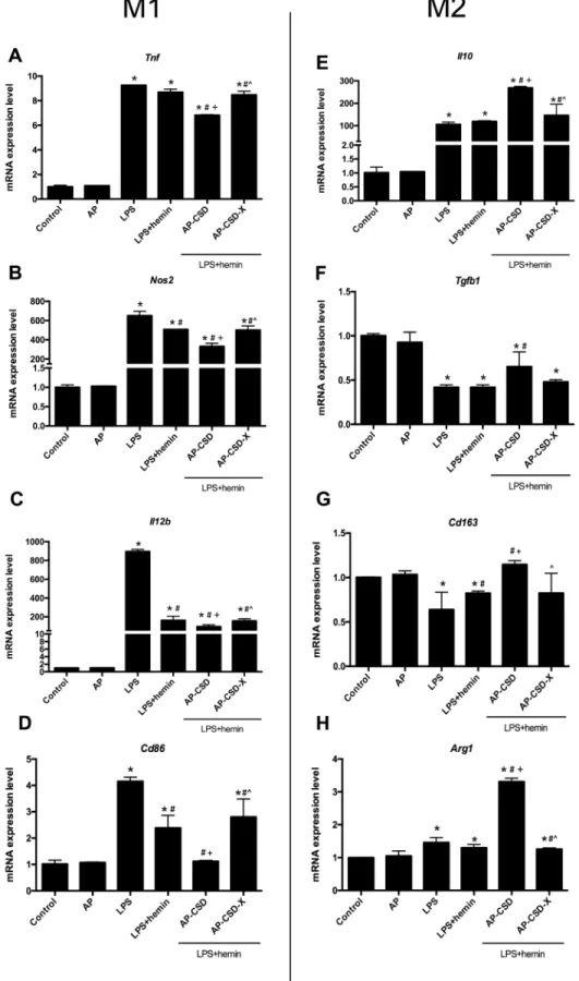 Figure 3: CSD peptides shifted alveolar macrophages polarization toward M2 phenotype.  A.-D