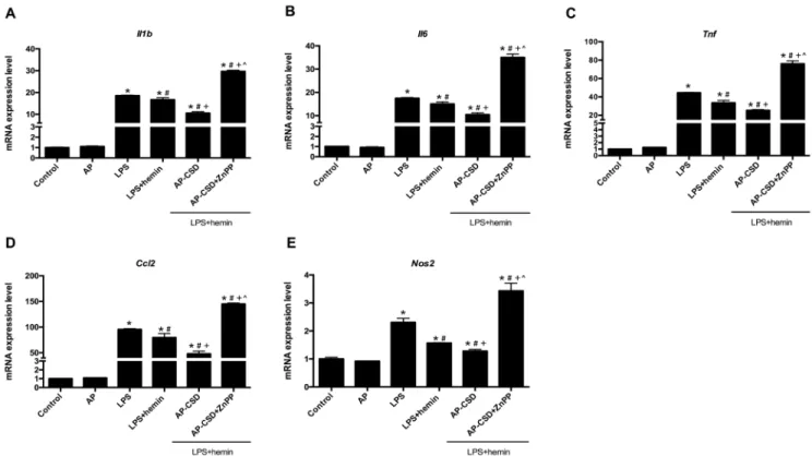 Figure 7: CSD peptides repressed the expression of pro-inflammatory genes in LPS-induced acute lung injury of  mice