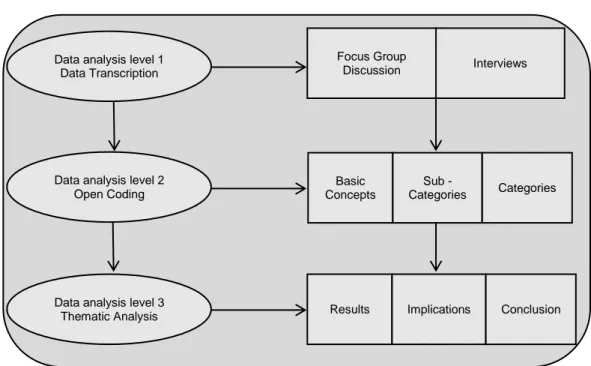 Figure 2: The three data analysis levels 