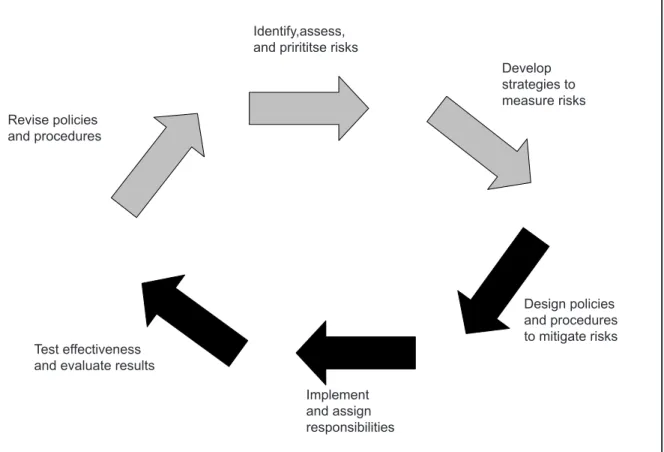 Figure 1: Risk management feedback loop Source:	Reproduced	from	(GTZ	2000,	p.	36).