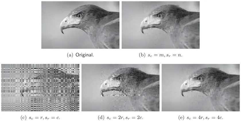 Figure 2: (a): the original 1920×1168 image. (b) to (e): CUR decomposition with c = r =100 and diﬀerent settings of sc and sr.