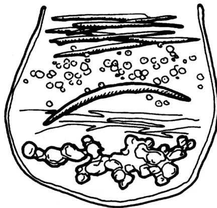 Figure 2. crescent, textile remnant, bead preforms, leather pouch. Not Schematic drawing of the copper artifact cache recovered at site 20KE20 in 1988