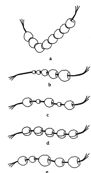 Figure 3. Hypothetical patterns of stringing beads (not to scale): a, right-angle; b, graduated; c, alternating size; d, crimped and aligned; e, random (drawing by Julia J
