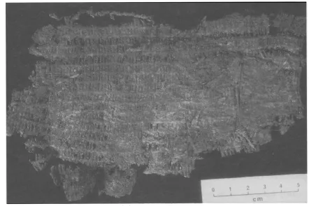 Figure 4. Textile associated with the cache. 5th century A.D. (photo by Patrick E. Martin)