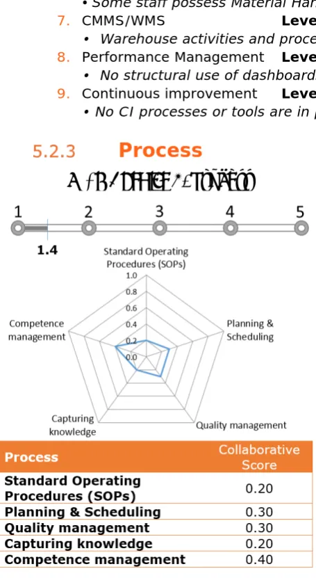 FIGURE 12 – SCORING CATEGORY 4. PROCESS OF PORT ELIZABETH 
