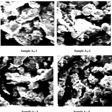Fig. 3: SEM Observation for Sample A treated with 0.005N, 0.01N, 0.02N and 0.04N HNO3
