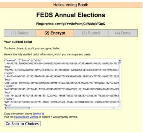 Figure 3: The Audit Ballot Section