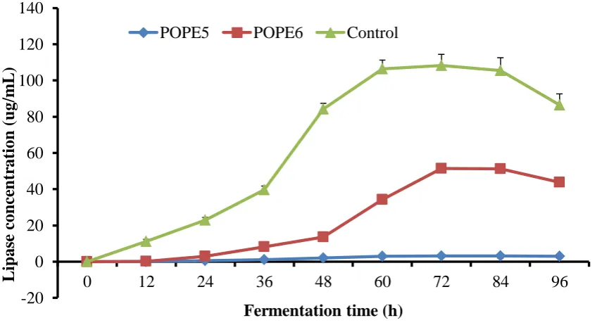 Fig.1:  Time-course of lipase production by select bacteria. POPE-Palm oil processing effluent 
