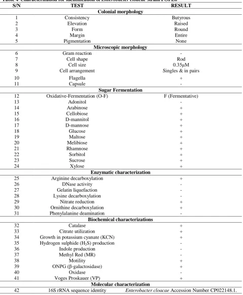 Table 4 Characterization for identification of Enterobacter cloacae strain POPE6 S/N TEST RESULT 