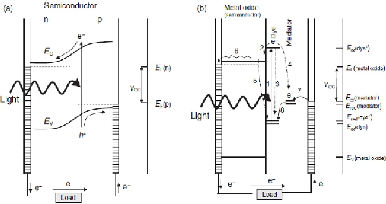 Fig. 2: Dynamics of redox processes involved in the conversion of light to electric power byDSSCs.