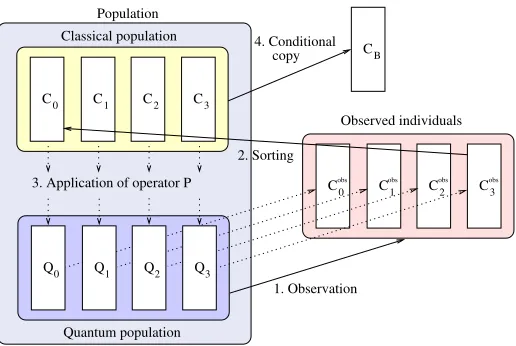 Figure 4: The four basic steps that characterize a generation of QILGP. With a populationsize of 4, the quantum individuals are observed and generate classical individuals.The classical individuals are sorted by their evaluations