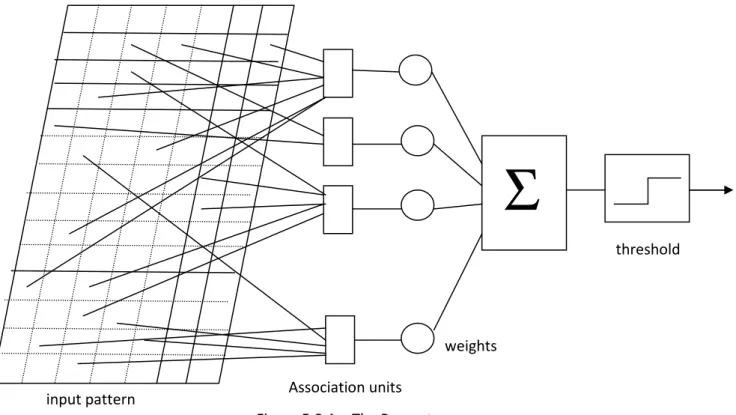 Figure 5.8.A – The Perceptron  weights Association units 