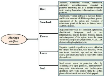 Fig. 1: Common medicinal uses of various parts of Moringa oleifera
