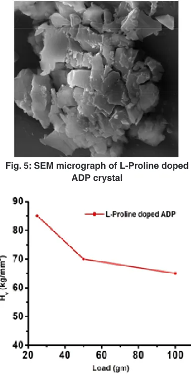 Fig. 5: seM micrograph of l-Proline doped 