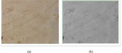 Table 1. Summary of marble image collected for the current study. 