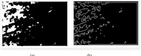 Figure 4. Binarizations of input marble images. 
