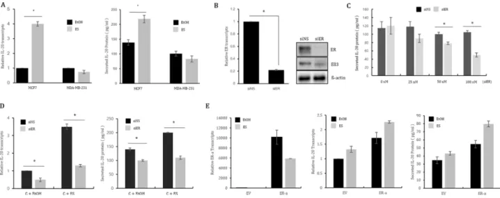 Figure 1: ER(α) regulates IL-20 expression in MCF7 cells.  (A) The effect of estrogen treatment on IL-20 expression