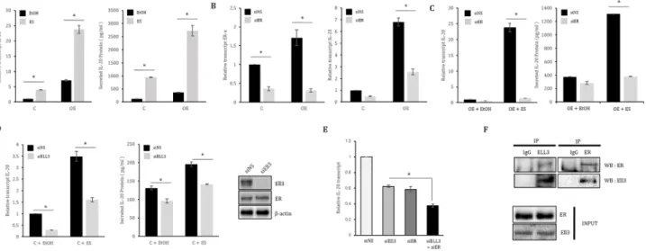 Figure 2: ER(α) collaborates with Ell3 to regulate IL-20 expression in MCF7 cells.  (A) The effect of estrogen treatment on  IL-20 expression in Ell3-overexpressing MCF7 (Ell3 OE) cells