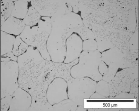 Fig. 4. Microstructure of 3 hour aged specimen.  