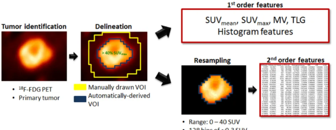 Figure 3: Radiomic feature extraction pipeline.