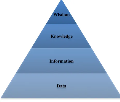 Figure 1. 'Knowledge pyramid' 