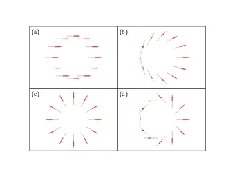 Figure 2.5: Polarisation proles of beams with generalised angular momentum. (a)No rotation of polarisation or phase, (b) π rotation of polarisation and π phase shift(c) 2π rotation of polarisation and no phase change, (d) 3π/2 rotation of polarisationand 