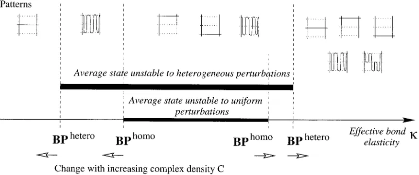 FIGURE 5Schematic of typical bifurcation plot of the average steady state and the patterns (in membrane depthelasticities z) realizable at different effective �