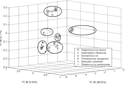 Figure 3Plots of the results from PCA for six classes of bacteria.