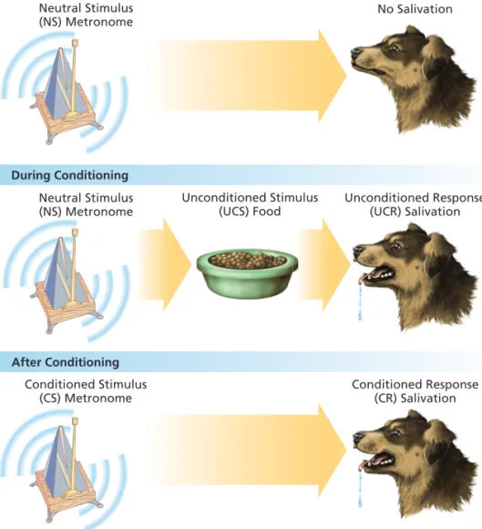 Figure 5.1   CLASSICAL CONDITIONING