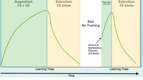 Figure 5.3    Extinction and  Spontaneous Recovery