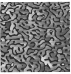 Figure 2.3: Atomic force microscope image of a percolated Ag ﬁlm (bright= conducting, dark = isolating) [6].