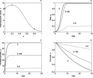 Fig. 1. Example output from the model (eqns 1–8). (a) The relationship between reproductive value (V) andmaximum immunity resource (α)