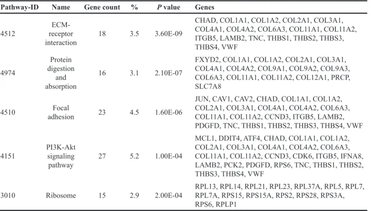 Table 2: KEGG pathway analysis of DEGs