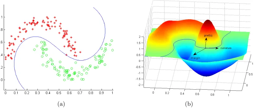 Figure 1: Results on two moon data by using the EE classiﬁer.(a) Decision boundary(in blue) that separates two classes of points (represented by red stars or greencircles); (b) learned target function illustrated as a surface in a 3D space.