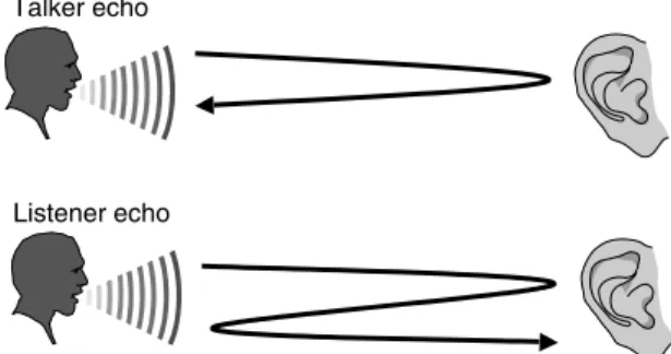 Figure 3.4 Talker and listener echo.