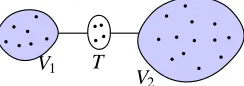 Figure 2: Structure of the graph used to analyze the junction tree framework for UGMS.
