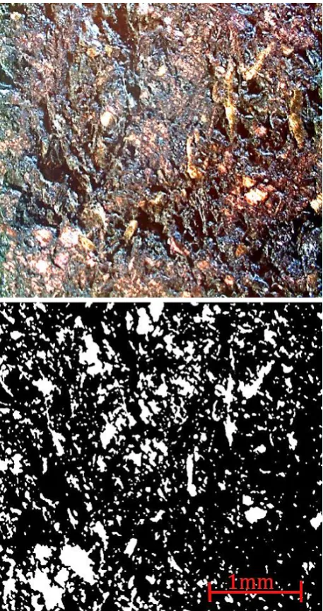 Fig. 6. Original picture from optical microscope (upper) and the corresponding generated input surface (lower) of the pin surface