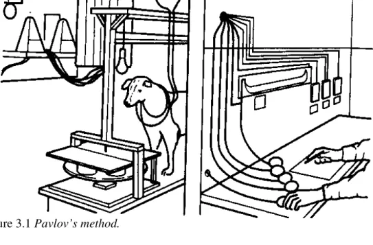 Figure 3.1 Pavlov’s method.  