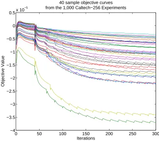 Figure 8: 40 sample objective curves randomly selected among the 1,000 binary classiﬁca-tion tasks run on the Caltech-256 data set