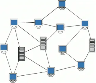 Fig. 4: Mesh network topology