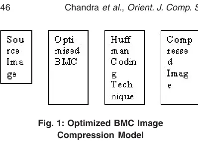 Fig. 1: Optimized BMC Image