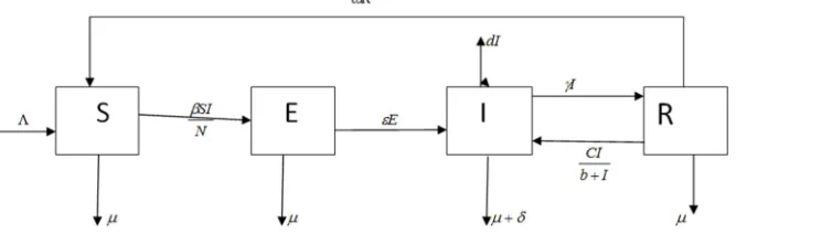 Figure 2. Flow Diagram of the proposed Model. 