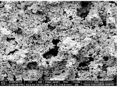 Fig. 5: Sintered stainless steel foam samples with varying porosity processed using acicular crystals of urea 
