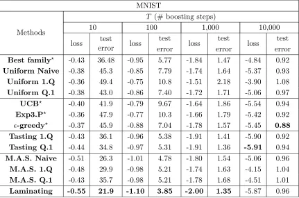 Table 1: Mean boosting loss (log10) and test error (%) after various number of boostingsteps on the MNIST data set with all families of features
