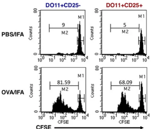 Fig. 1. Proliferation of T-cell receptor-transgenic Tregsimmunization with cognate antigencells were puriﬁed from DO11adoptively transferred into BALB/c recipients