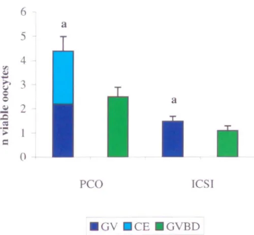 Figure 5.3 shows the stage of Oocytes in which the nuclear status was obscured by the tight covering cells were assumed GYBD ICSI patients maturity of the oocytes collected from the two patient groups, patients with PCO and patients undergoing ICSI treatme