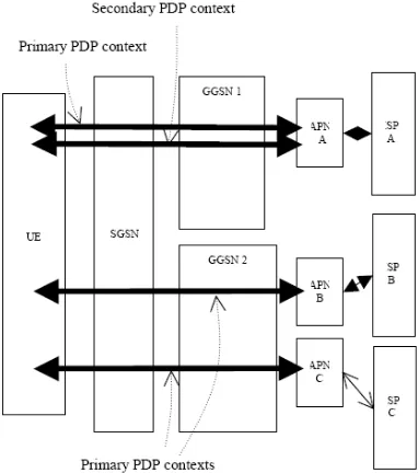 Fig. 2: APN and PDP context