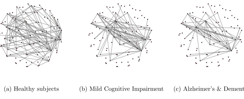 Figure 10: Brain connectivity networks
