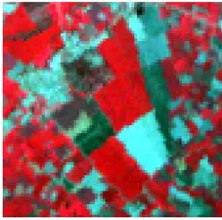 Fig. 2:  Integrated false color image subset(97x82 pixels) with ROIs (training classes) ofMahtoli village and its nearby region by ASTERwith a spatial resolution of 15 m per pixel.