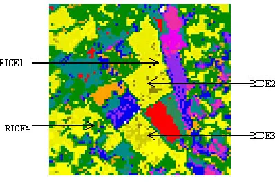 Fig. 8: Spectral (VNIR) classification result